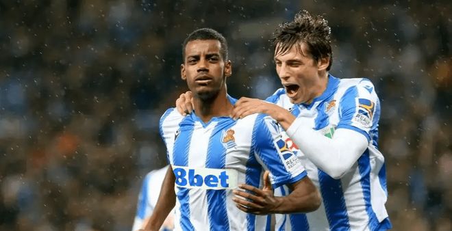 季健壮黄蜂 季健壮黄蜂